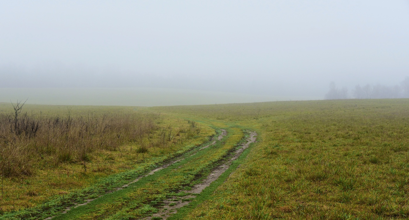 "По дороге в Загорск понимаешь невольно, что осень..."