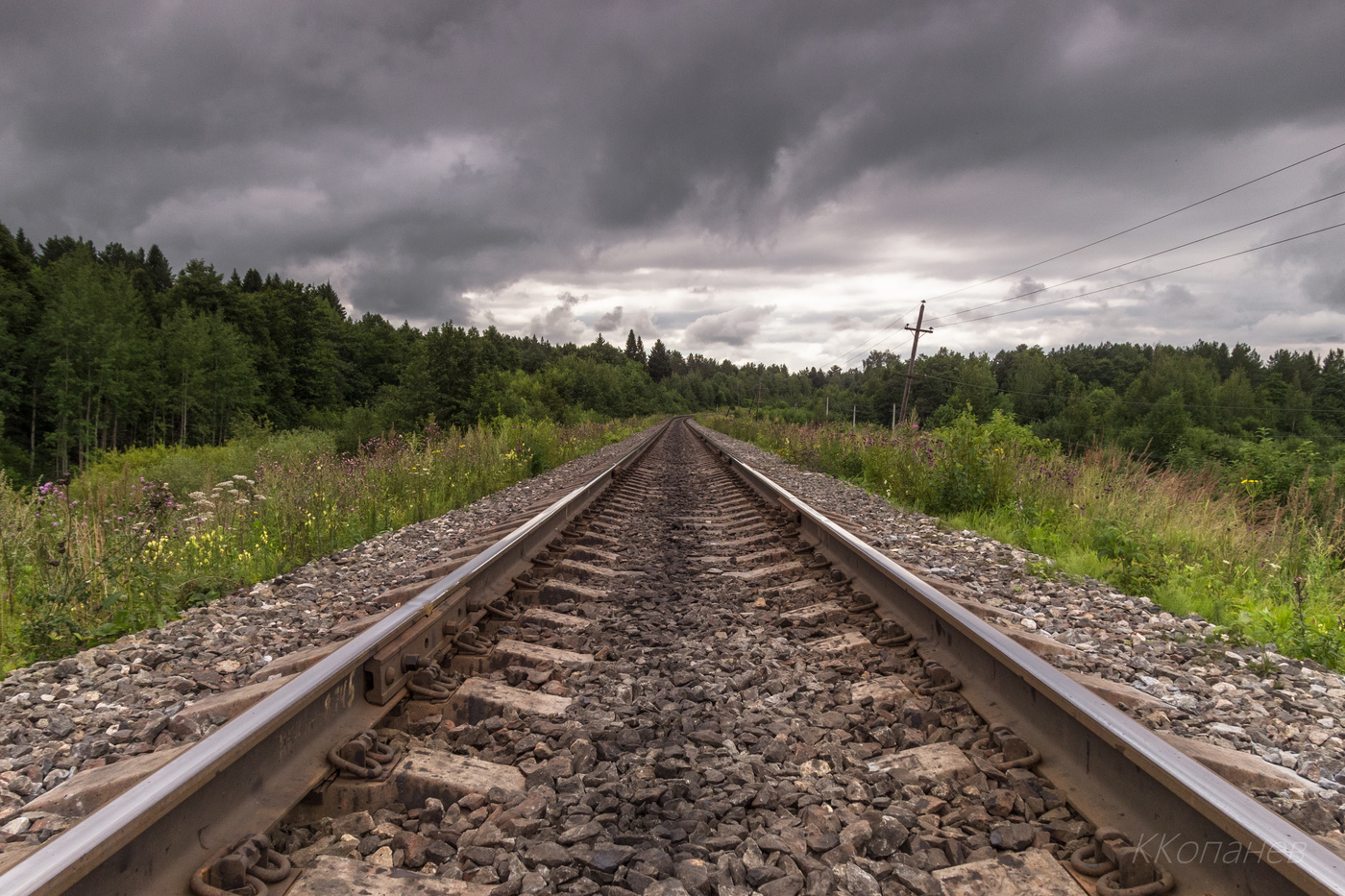 По железной, по дороге ...