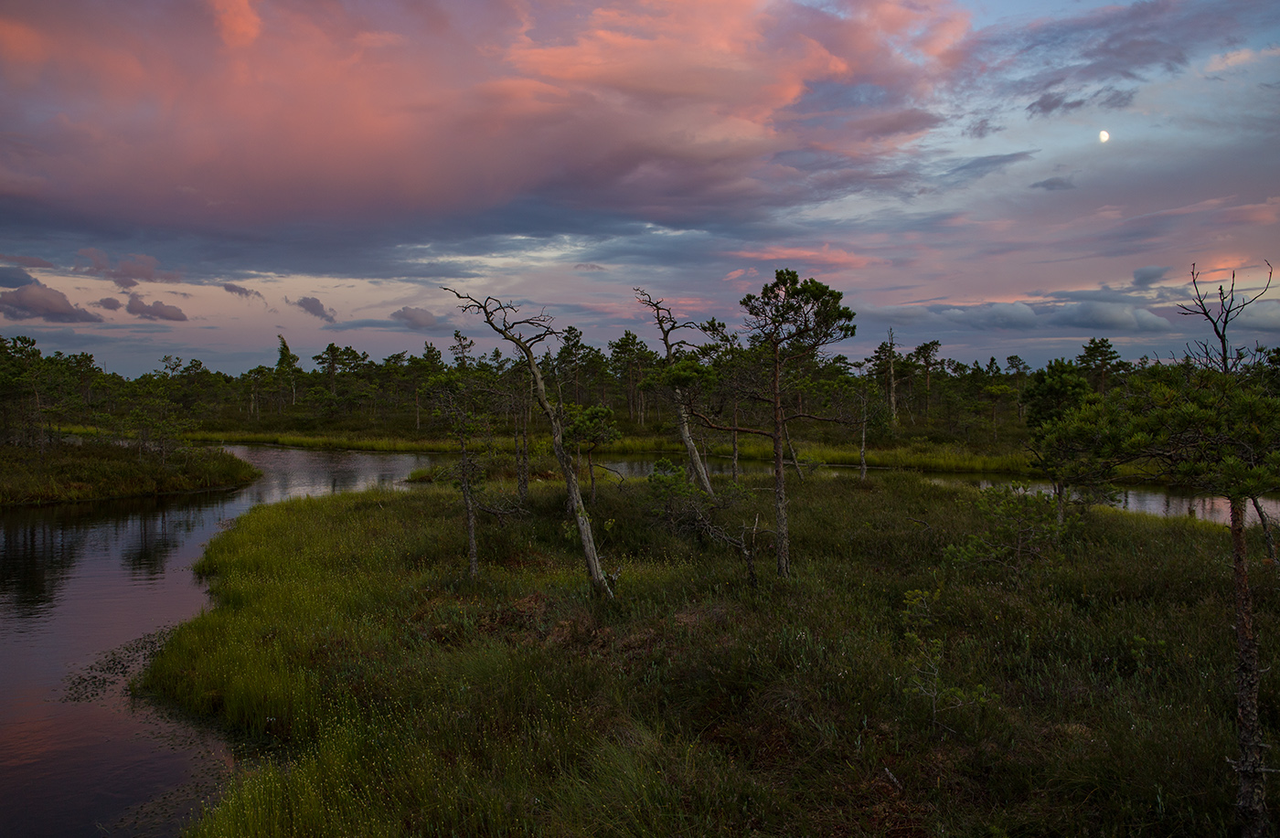 Ранняя луна