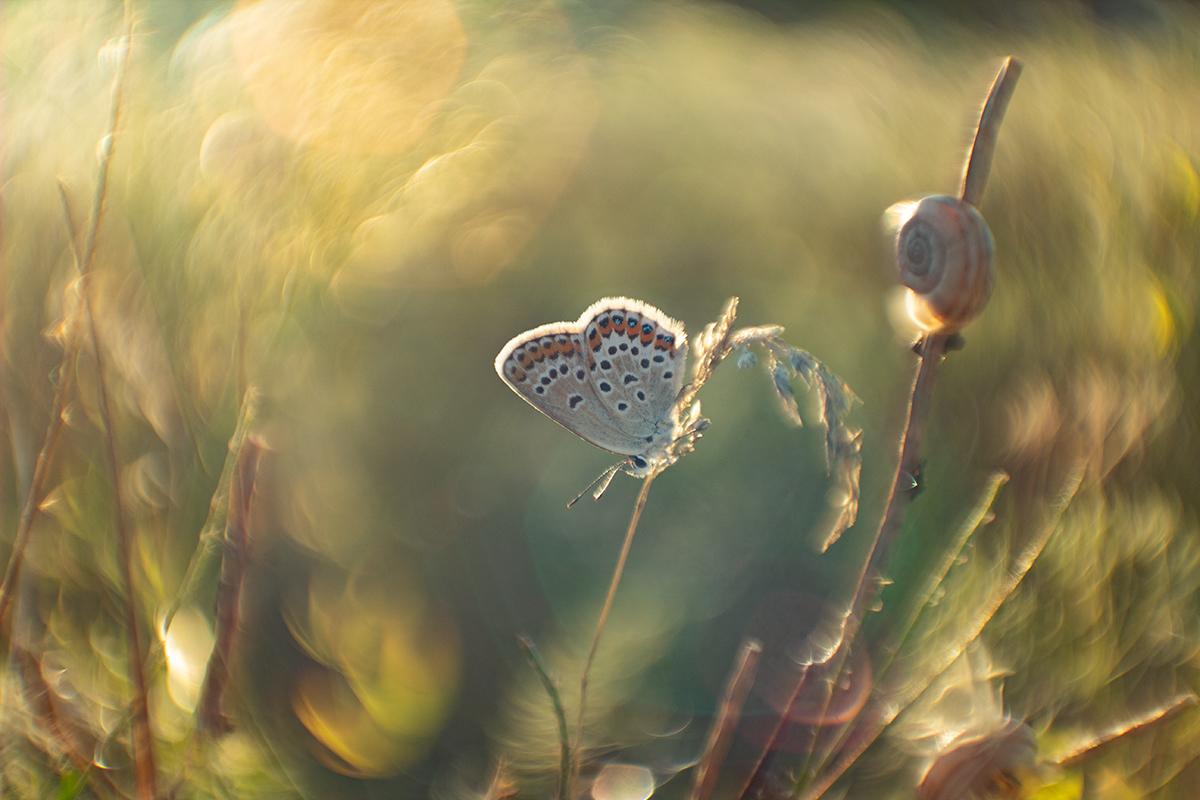 В омут с головой