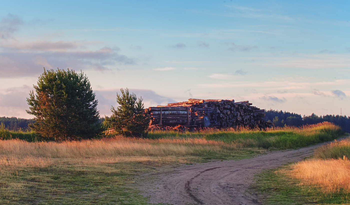 Лишь бы не на карандаши...