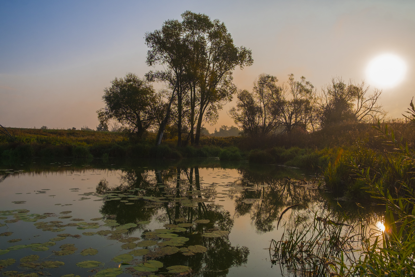 Осенние зарисовки.