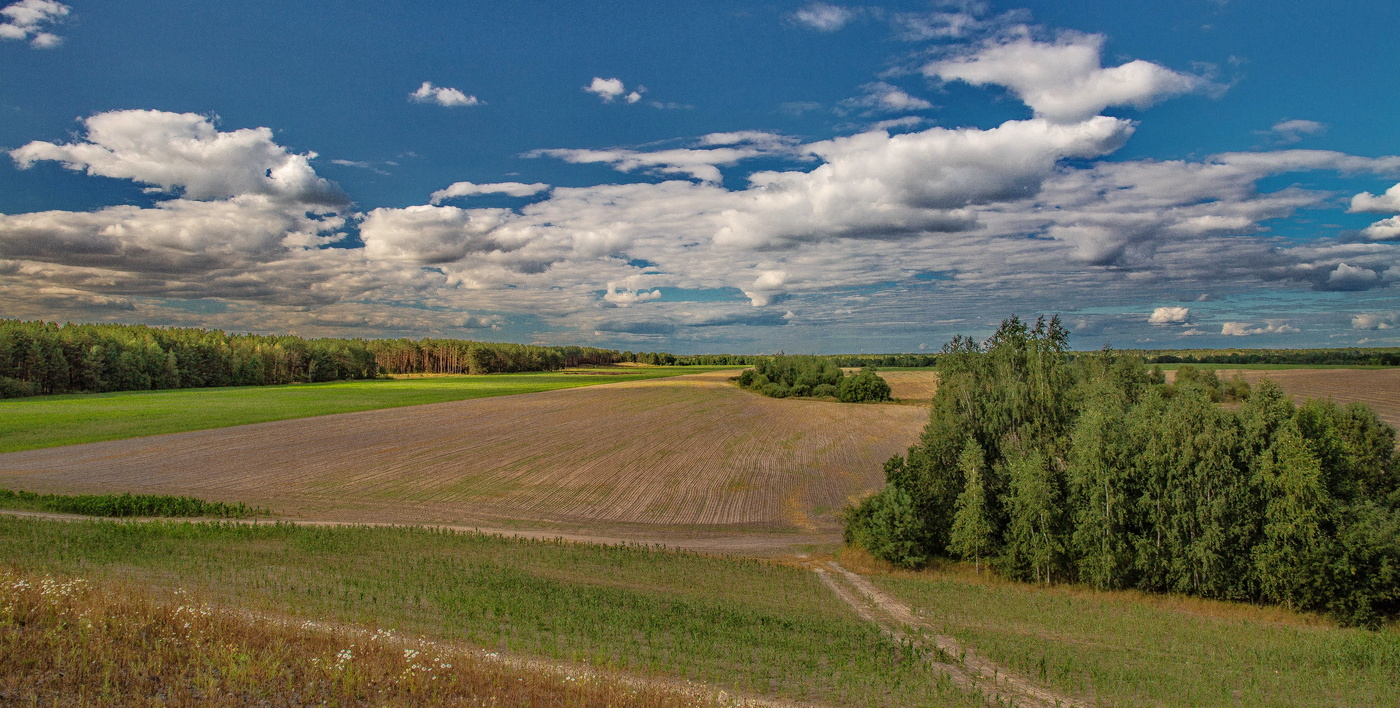 Там где ветер гуляет по воле...