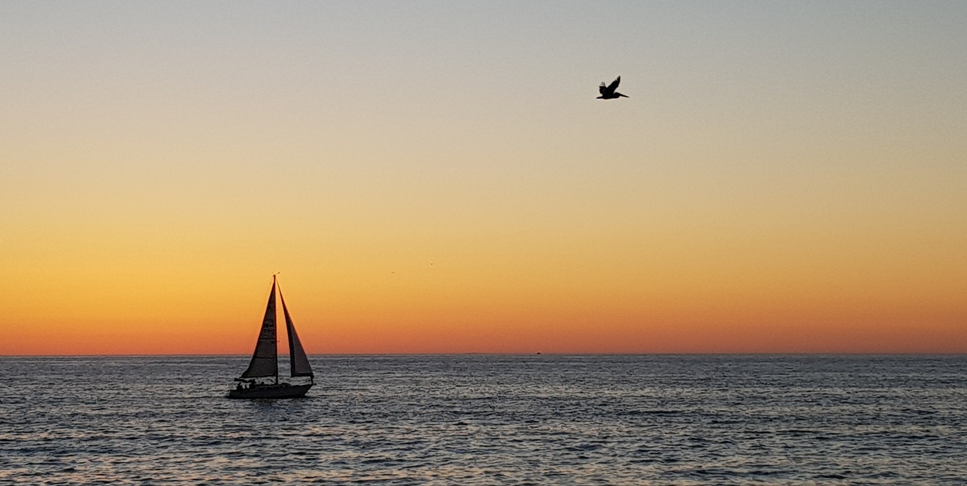 Вечерние гонки...