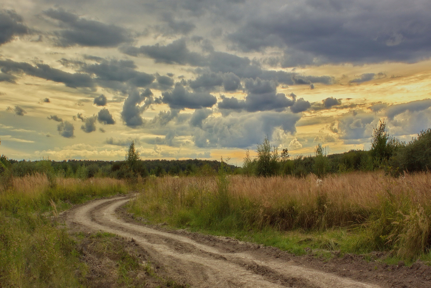Вечерний пригород