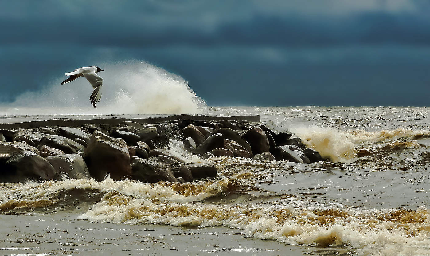 Пусть сильнее грянет буря...