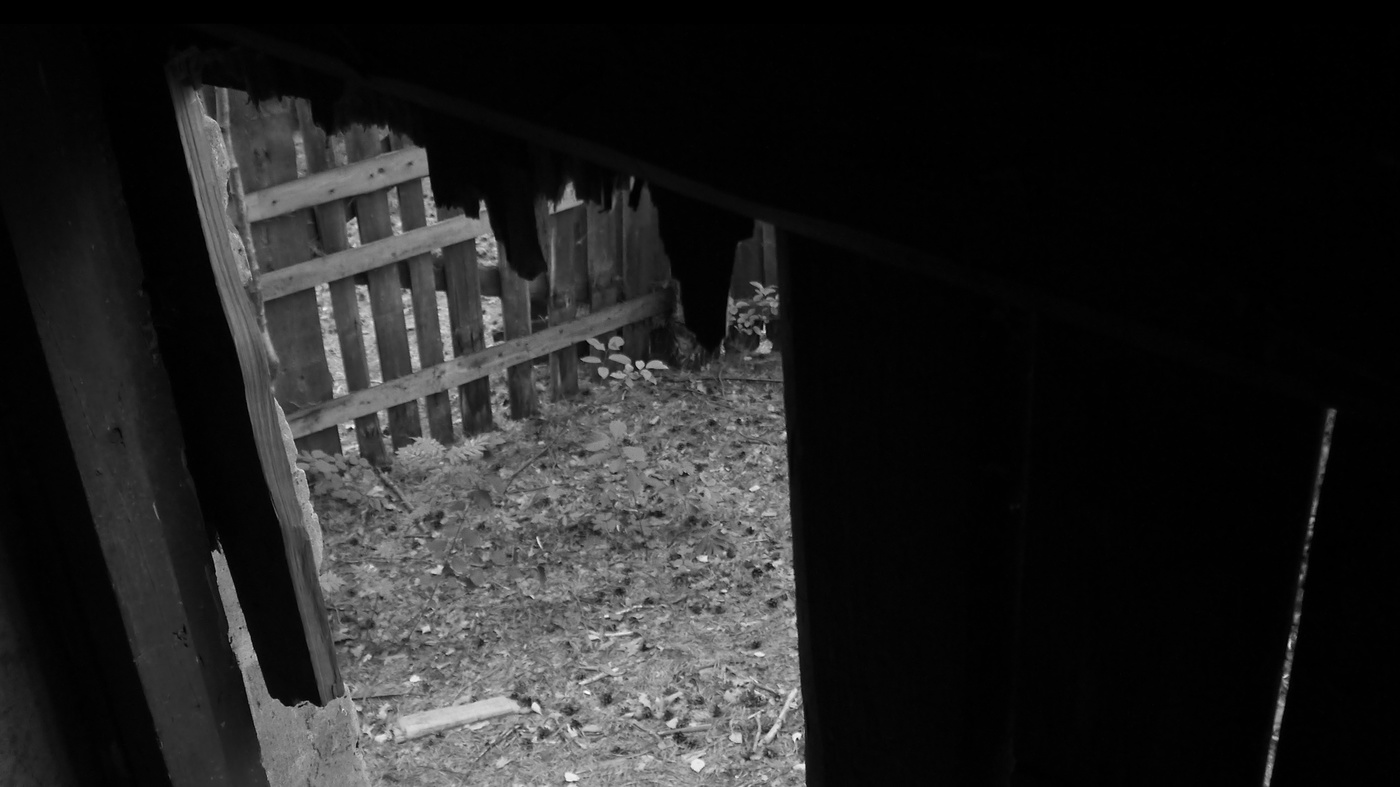 Добро пожаловать...