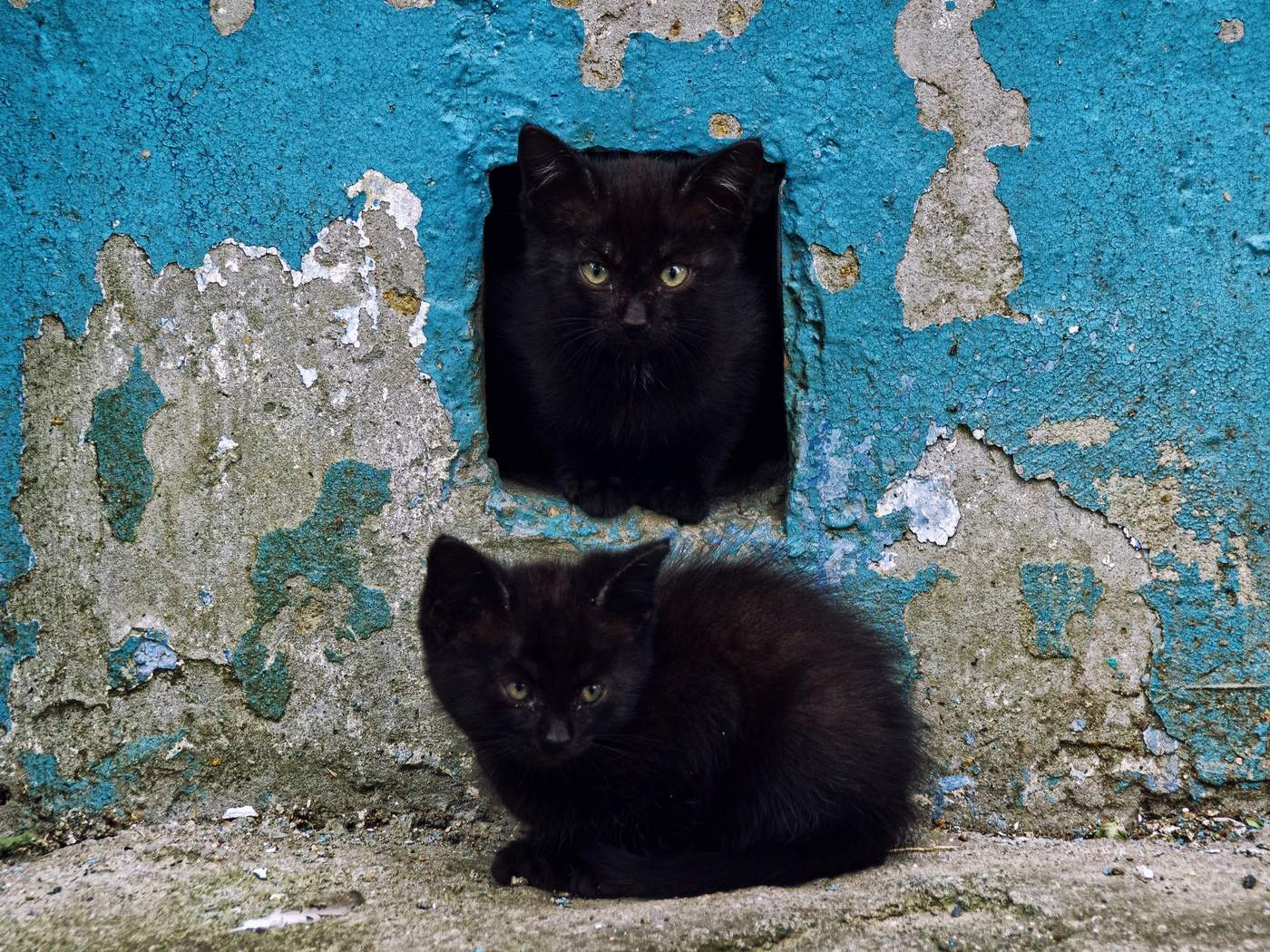 lights at he end of the tonnel 2.0