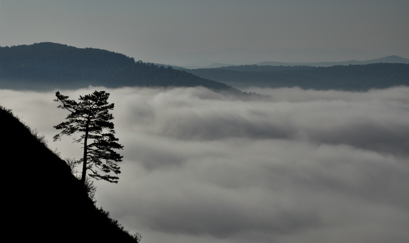 Августовские туманы на Катунских утёсах