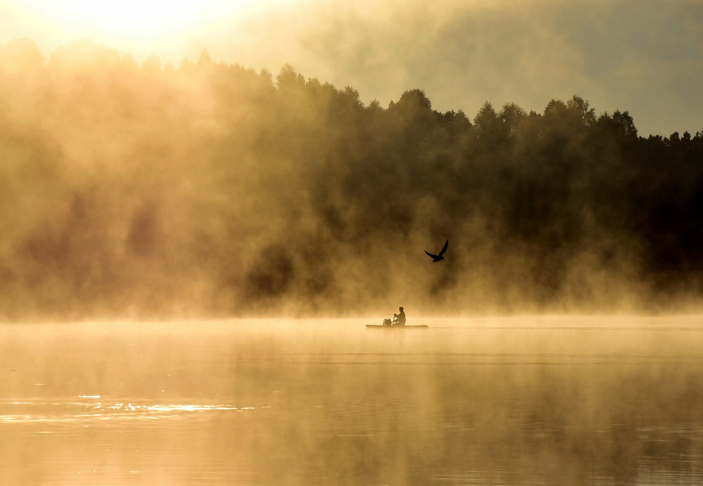 Взяв только сны и грезы ....