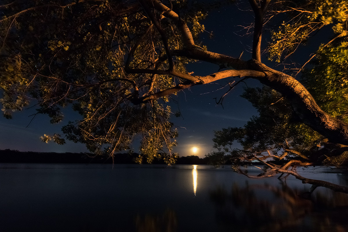 В начале ночи