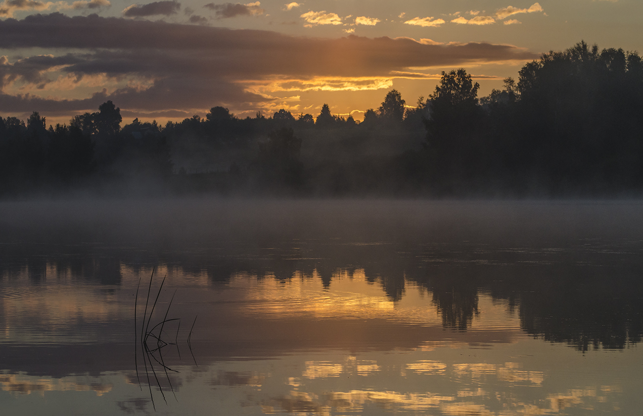 Территория рассвета