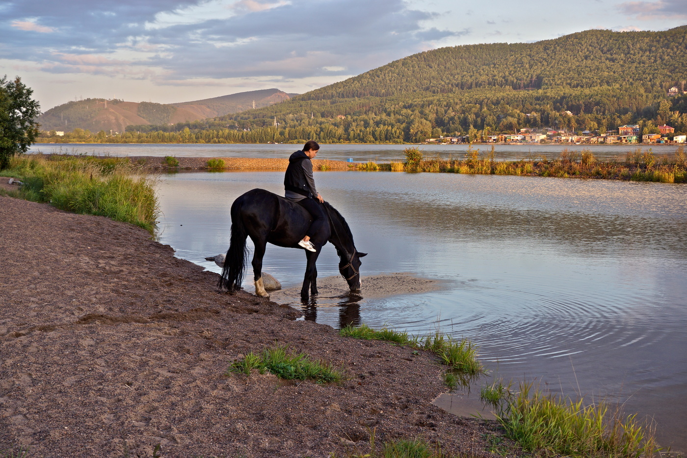 Пей, лошадка, пей!