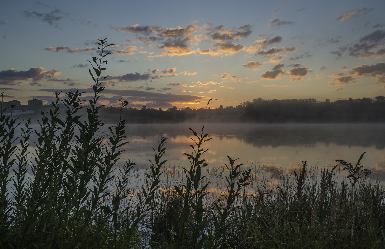 На излёте лета