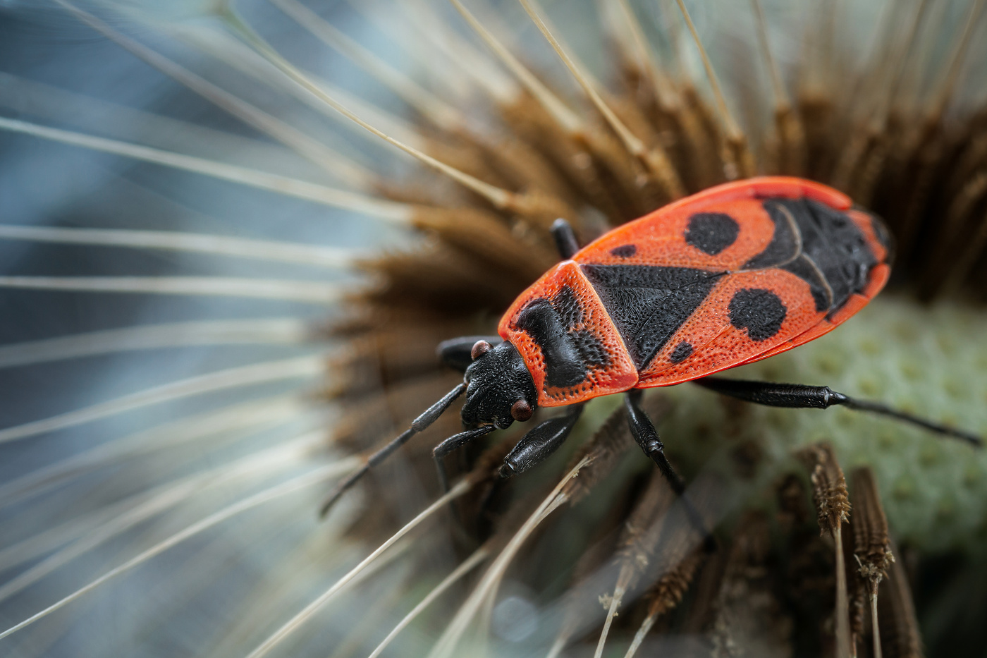 Где-то во "Вселенной"...
