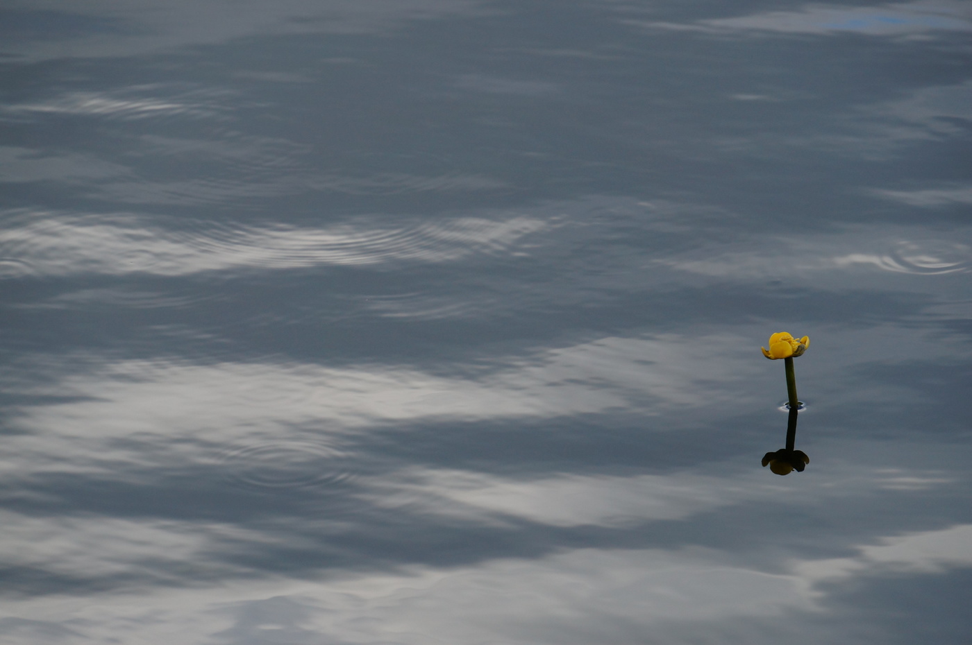 Попытка к бегству