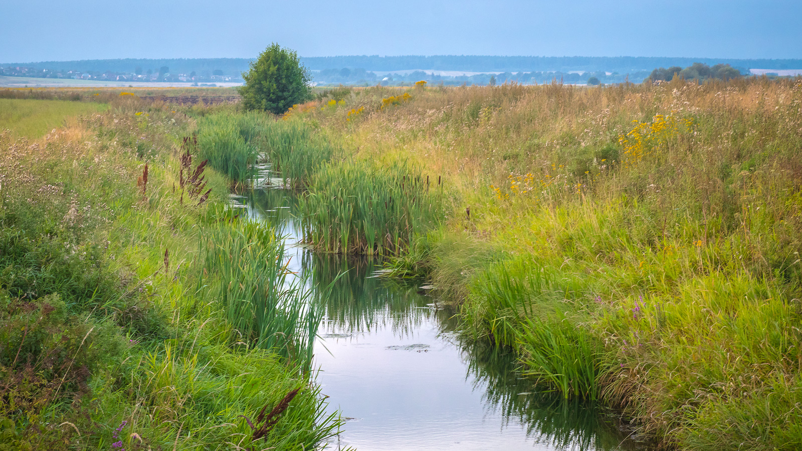 Конец августа