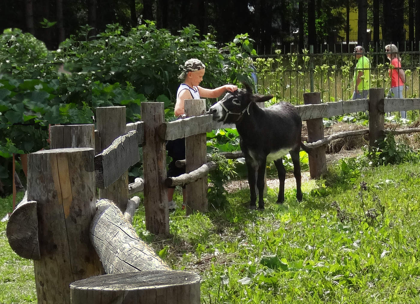Есть контакт!
