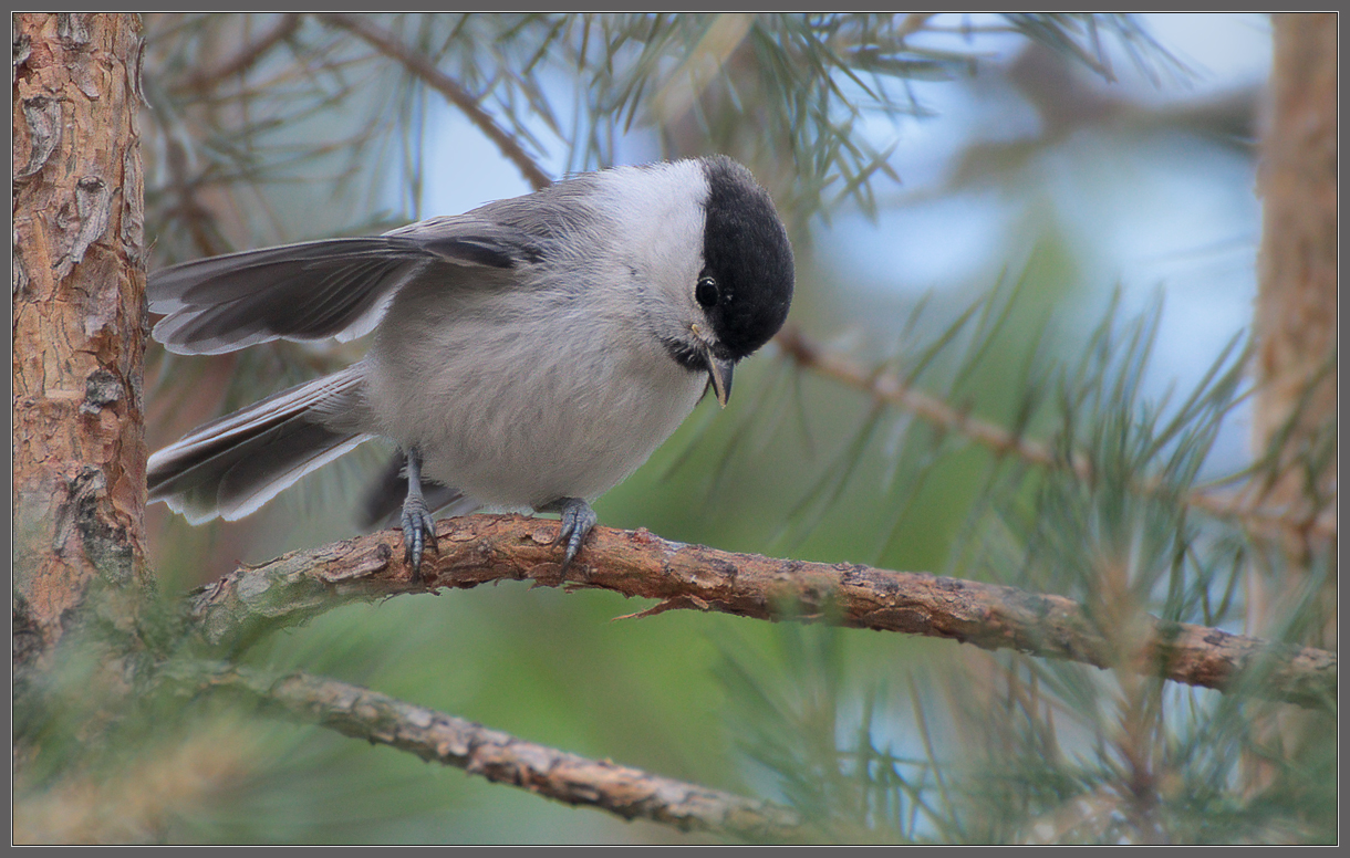 Детство закончилось