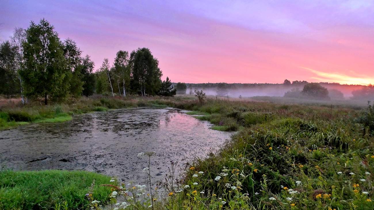Алая вечерняя заря