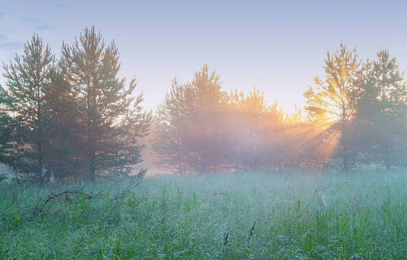 Туманное утро,туманный рассвет