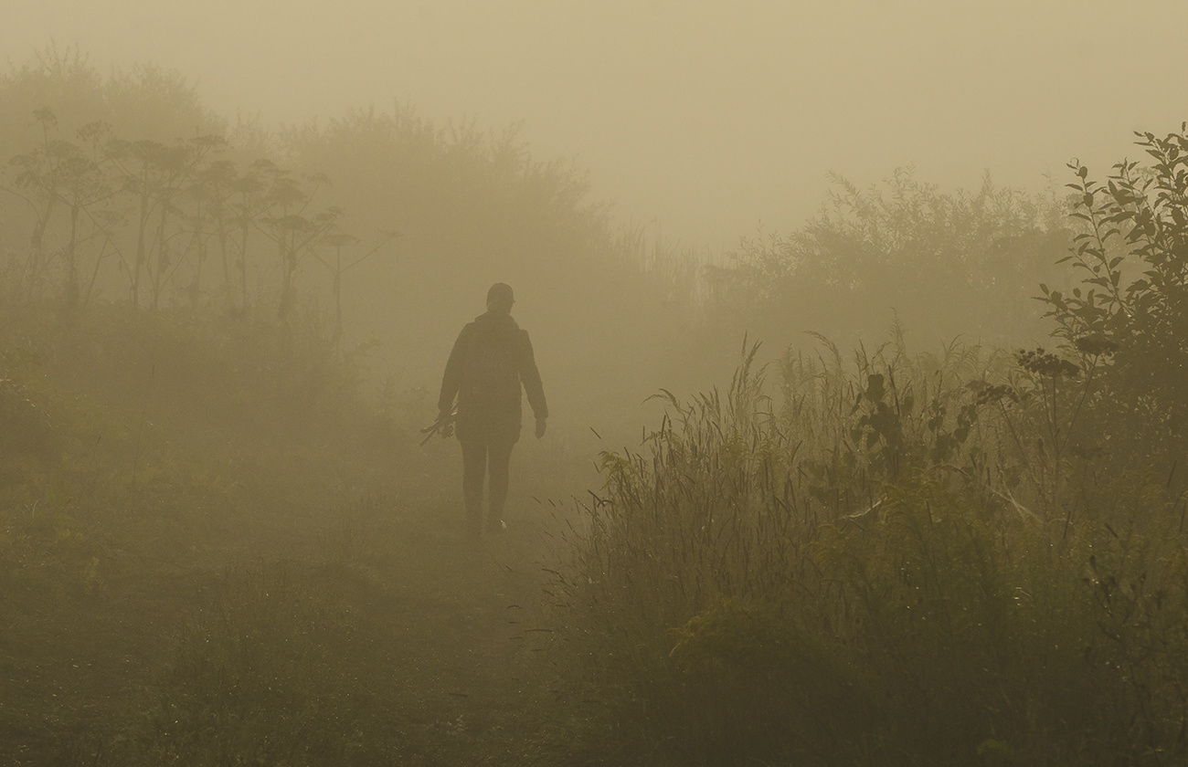 Зовут нас туманы