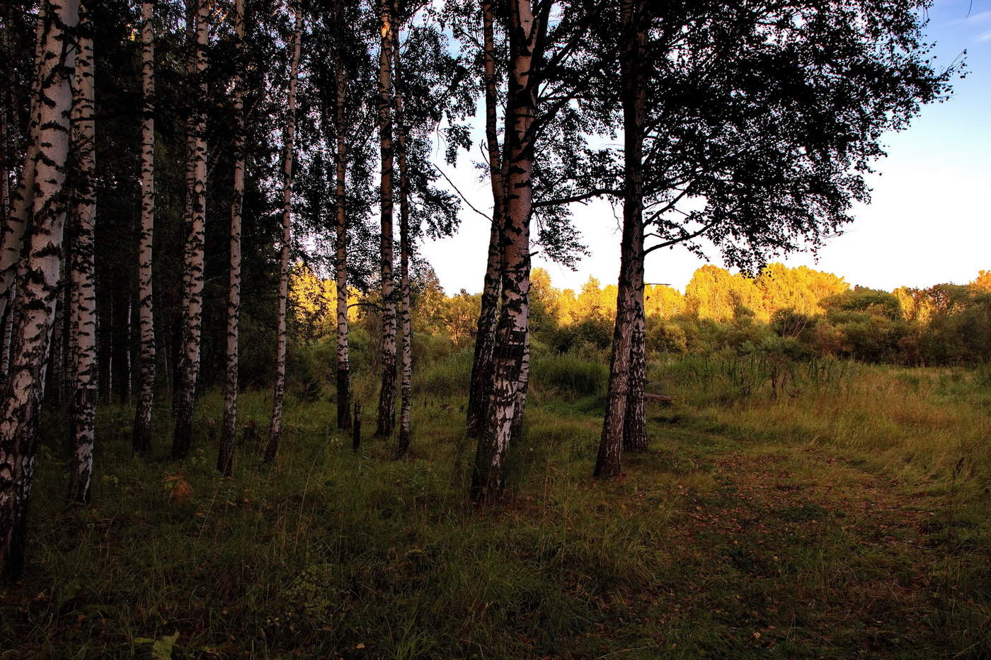 Августовский вечер.