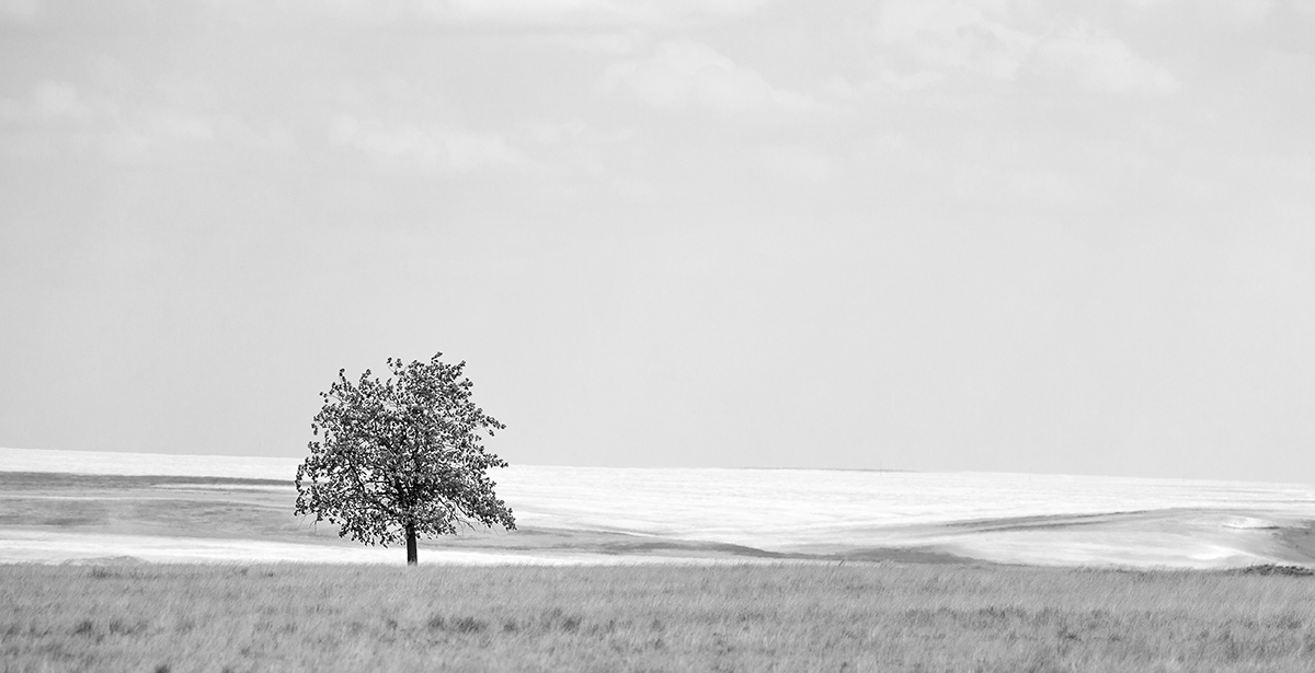 В степях Калмыкии