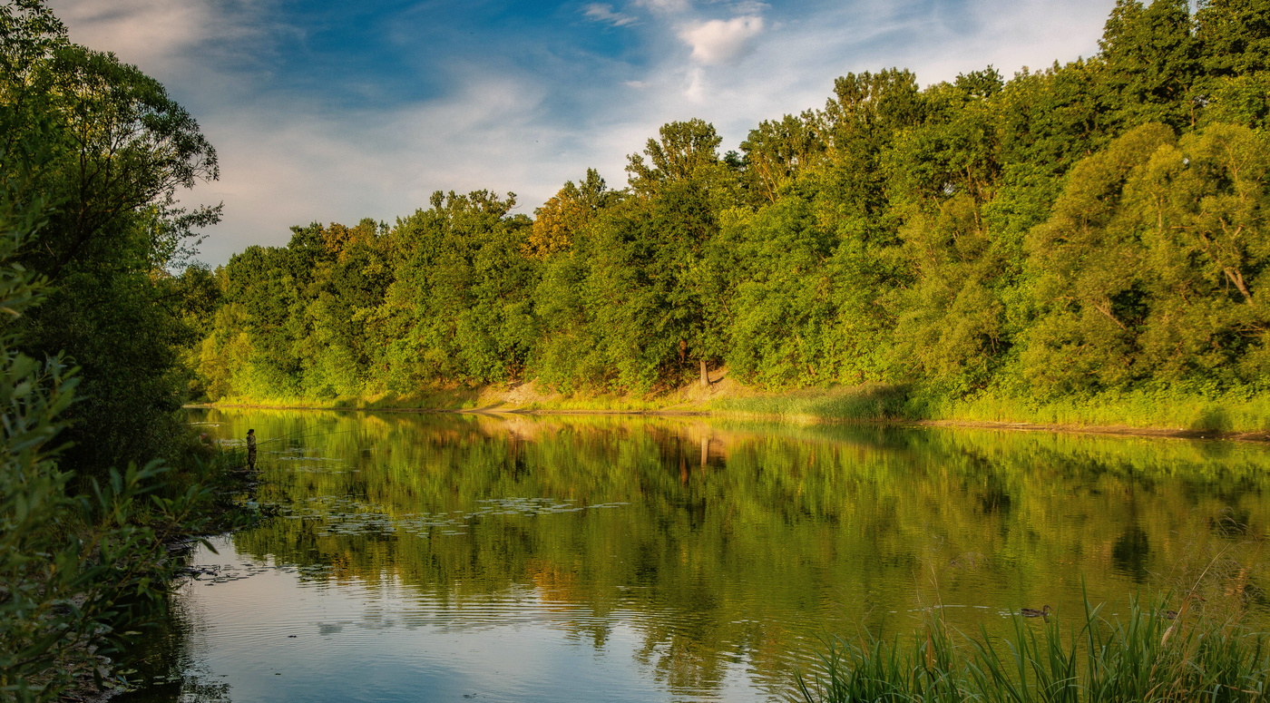 Тишь вечернего пруда.