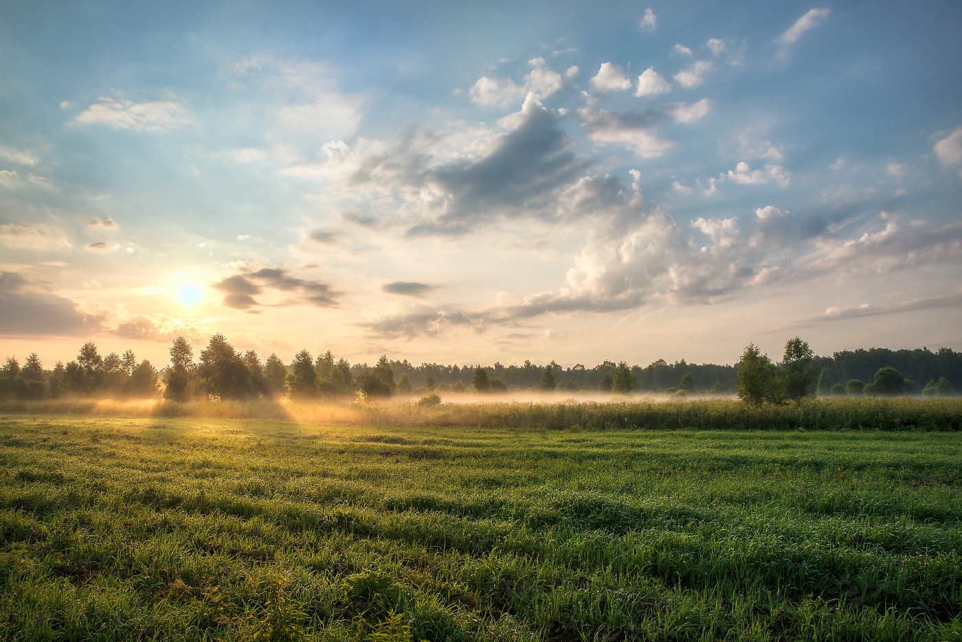 по утренней росе
