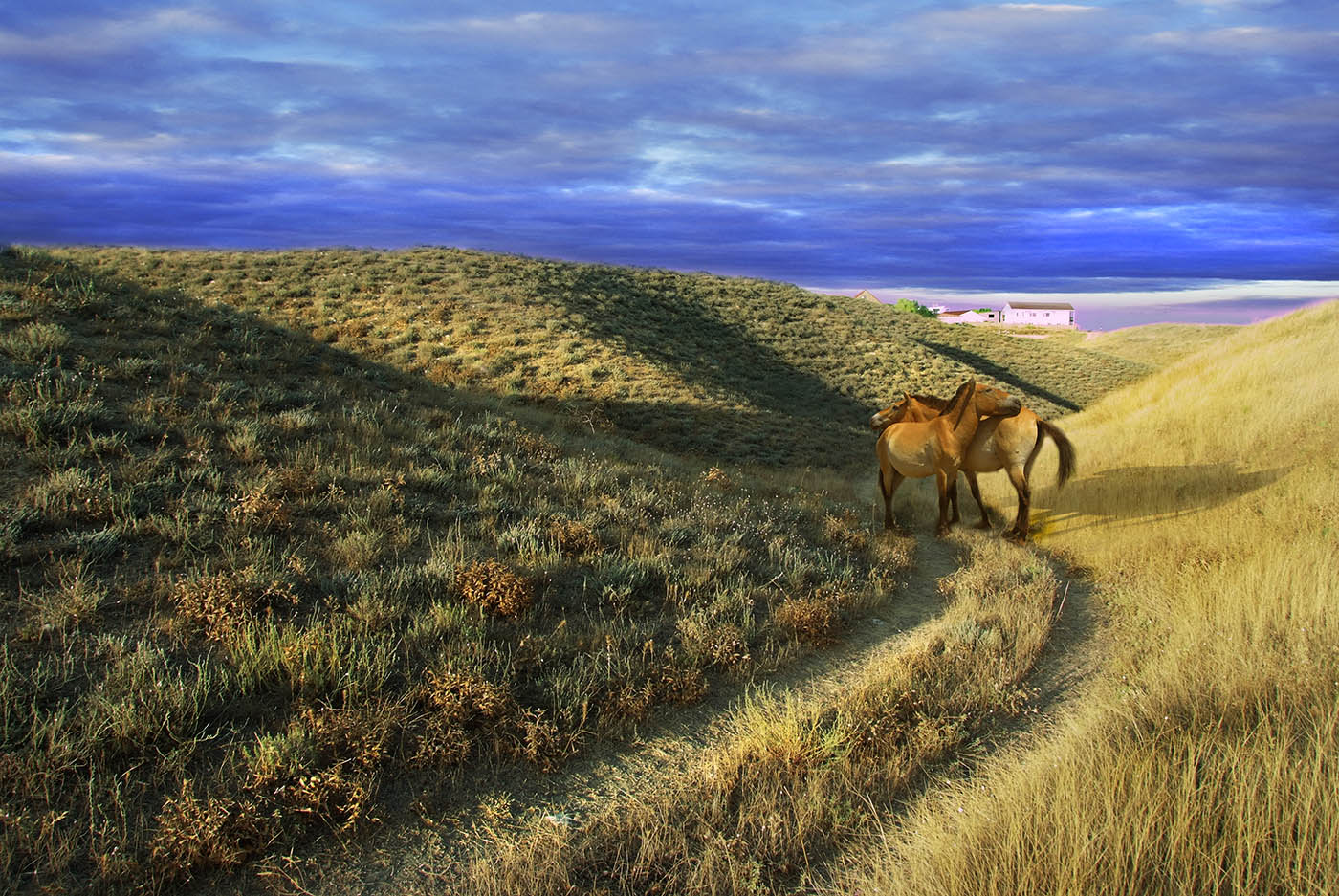 Куда пойдем?