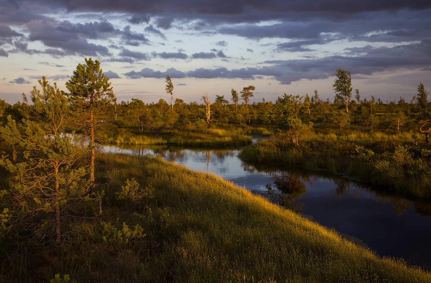Пора цветения