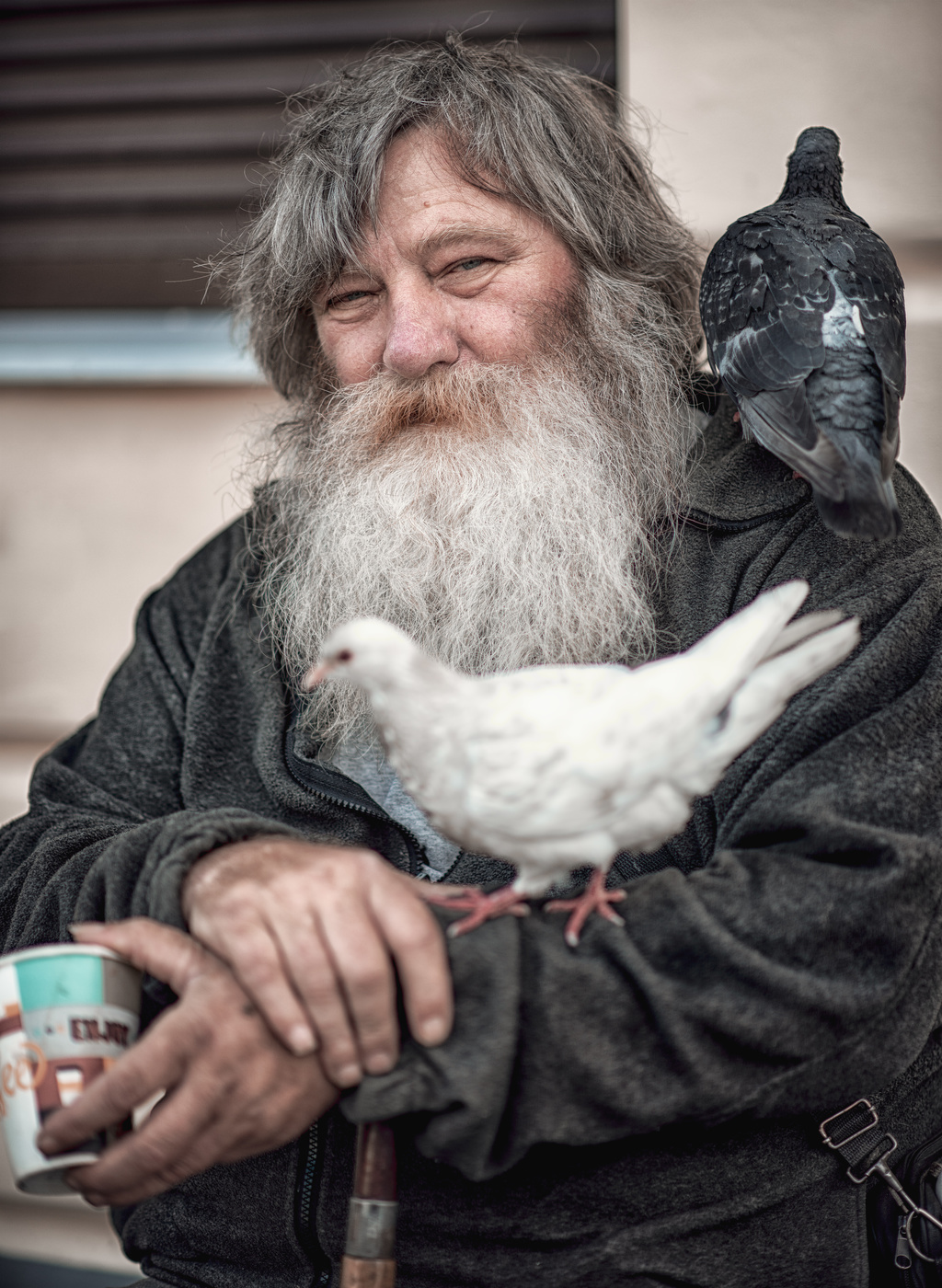 Только потому что ты их любишь и жалеешь, они отвечают взаимностью..