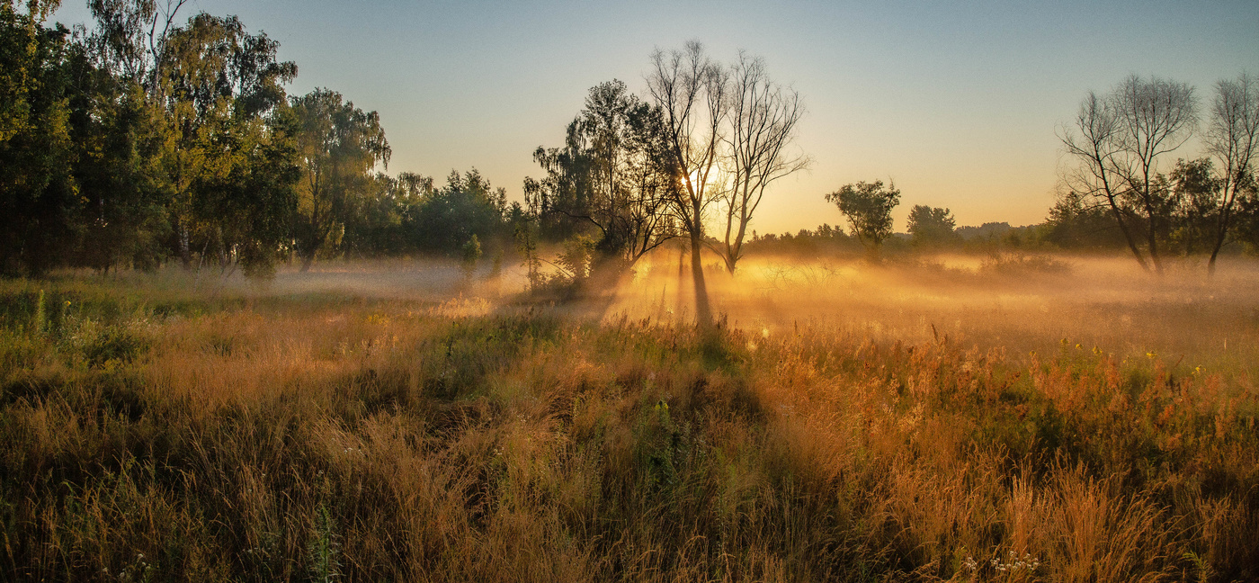 Там где звезды светятся в тумане...