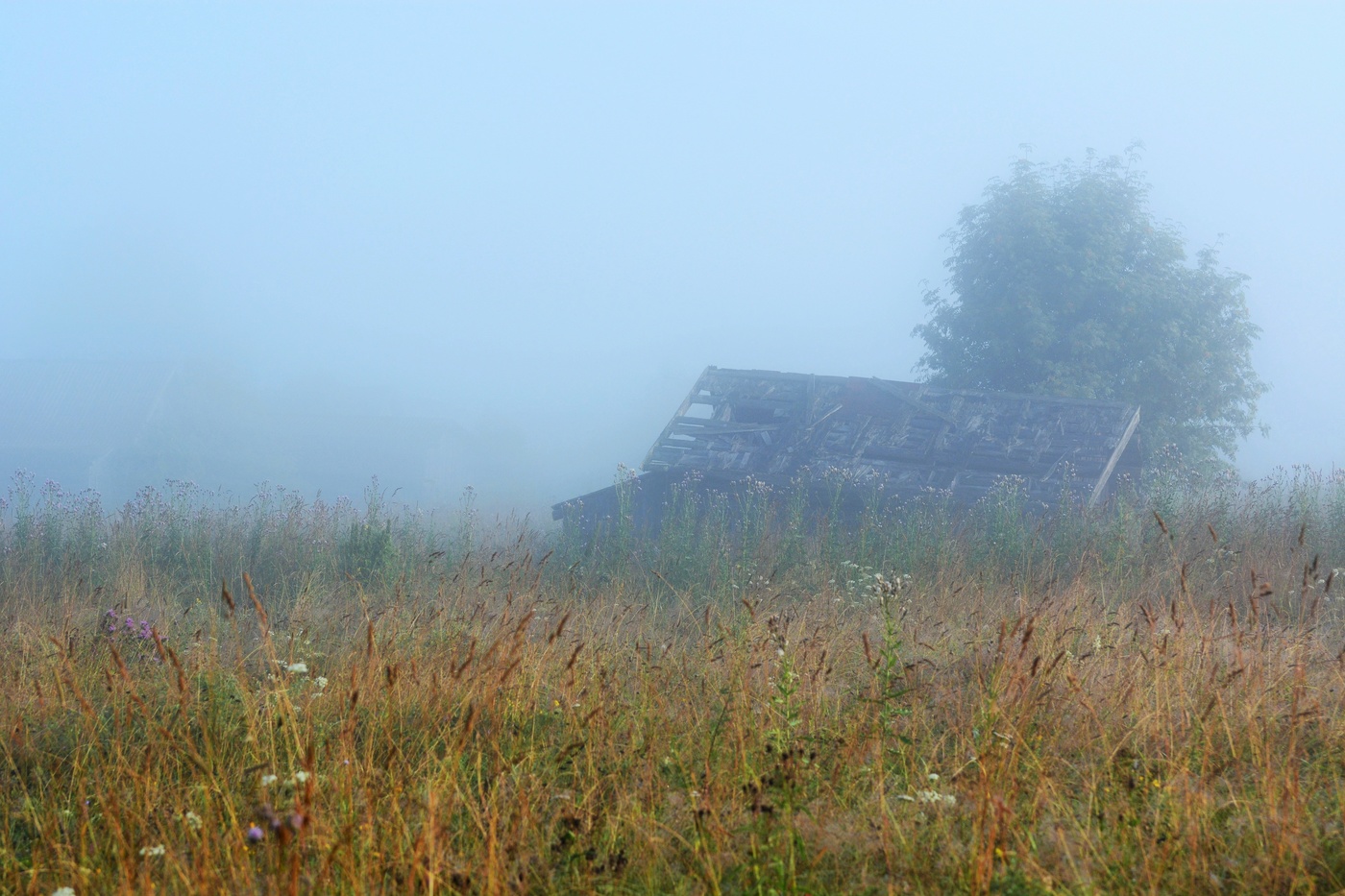 "Ощущенье бессменности пребыванья в тиши ..."