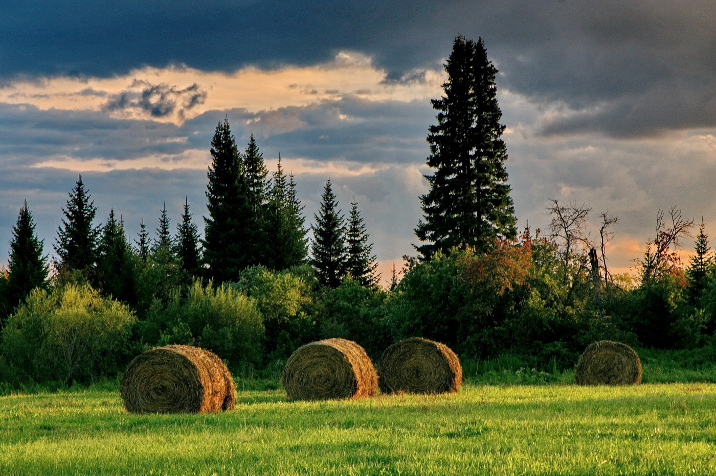 Вечерний свет.