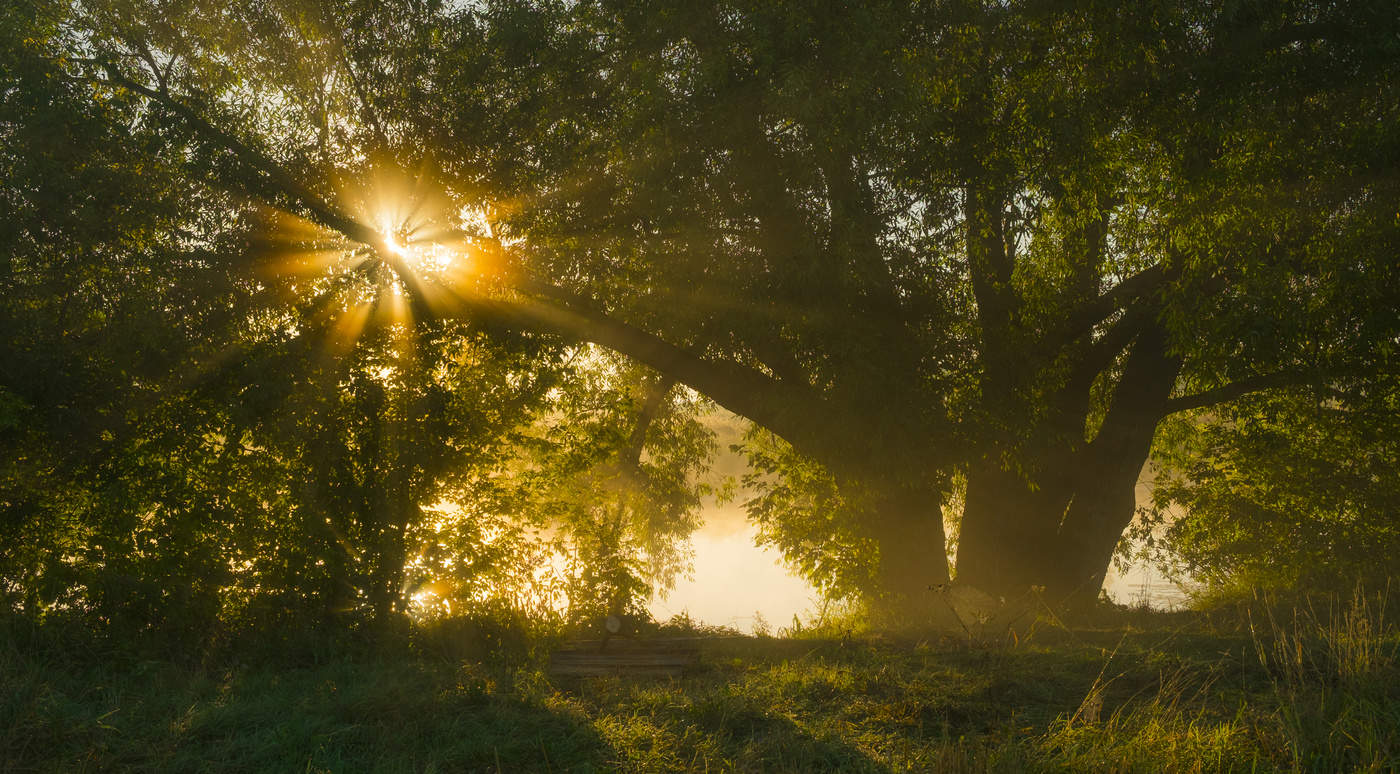 У озера Студёное.