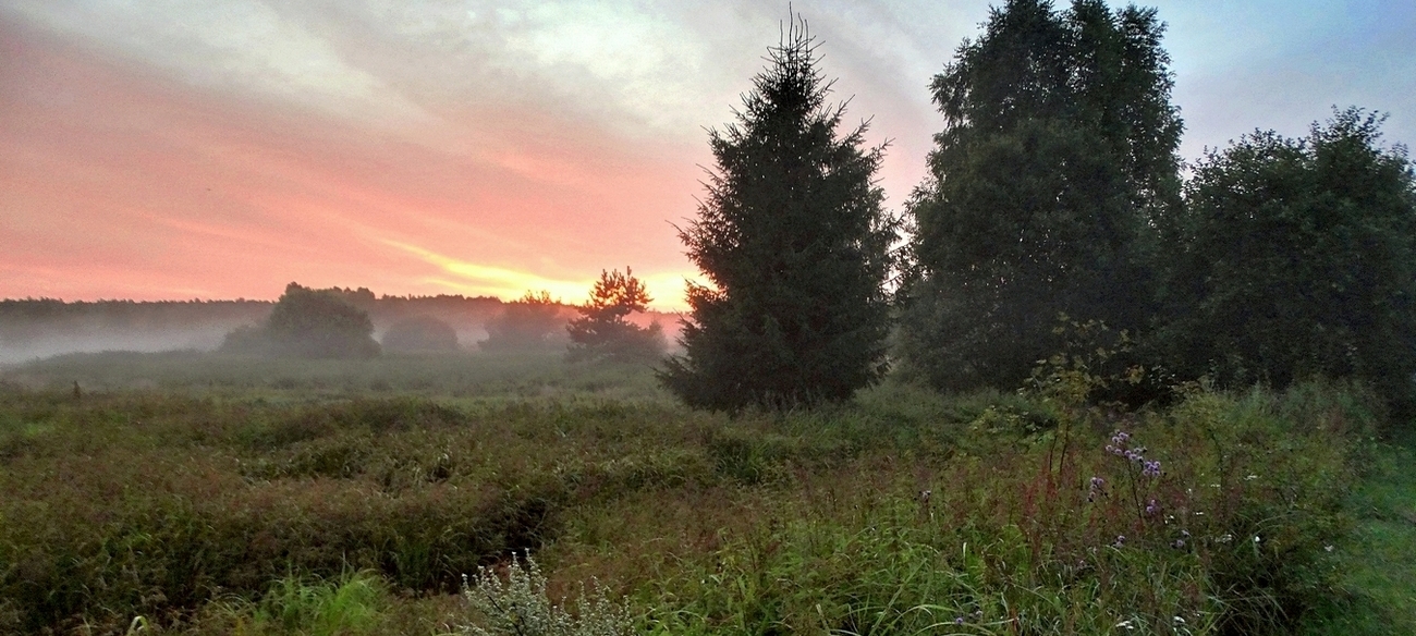 Августовская зарисовка