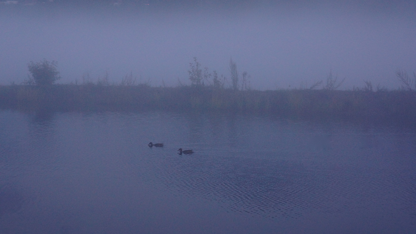 Ой, туманы мои, растуманы...