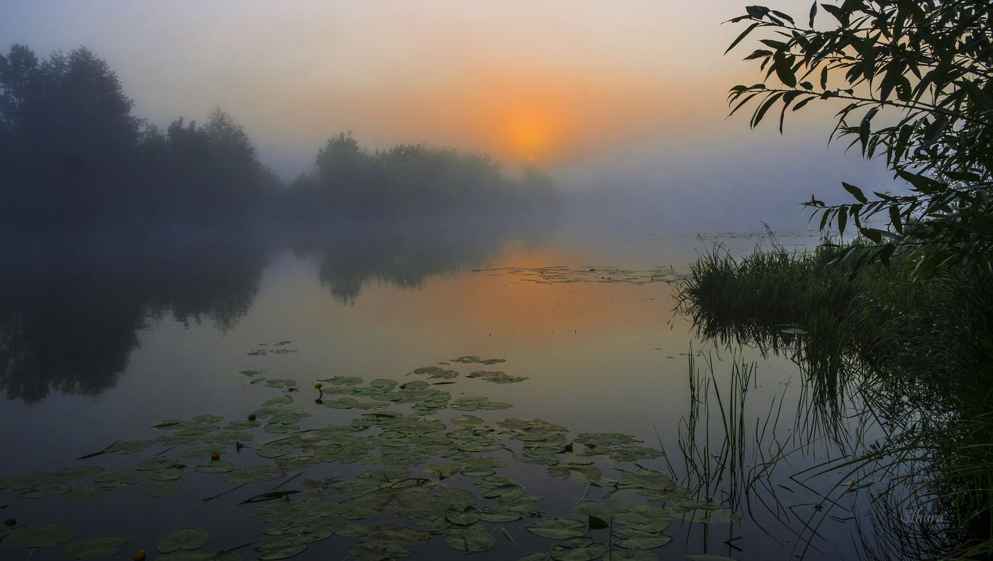 Летняя заря.