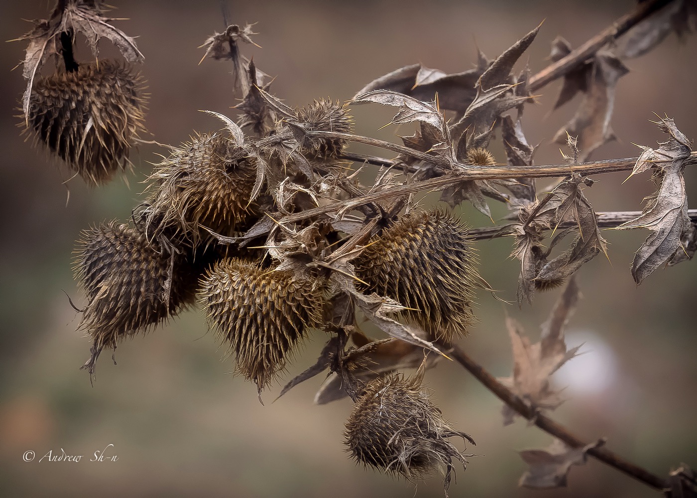 Любовные истории