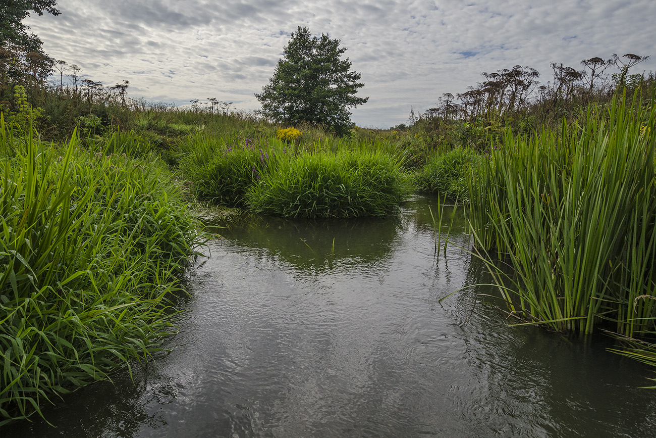 Тулица в окрестностях д. Новая Знаменка