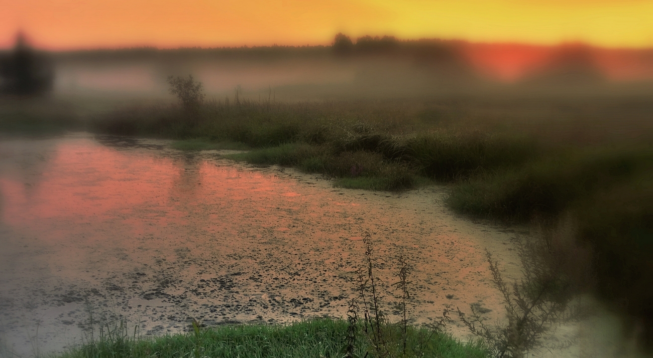 Туманная ночь приближается