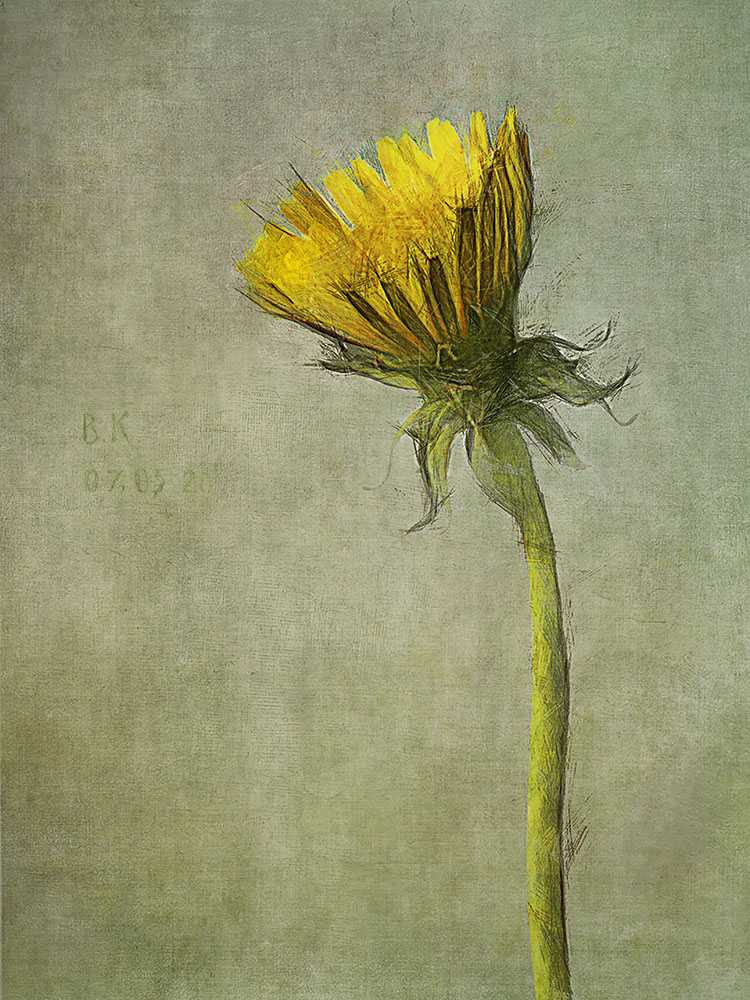 Родился - уже радость