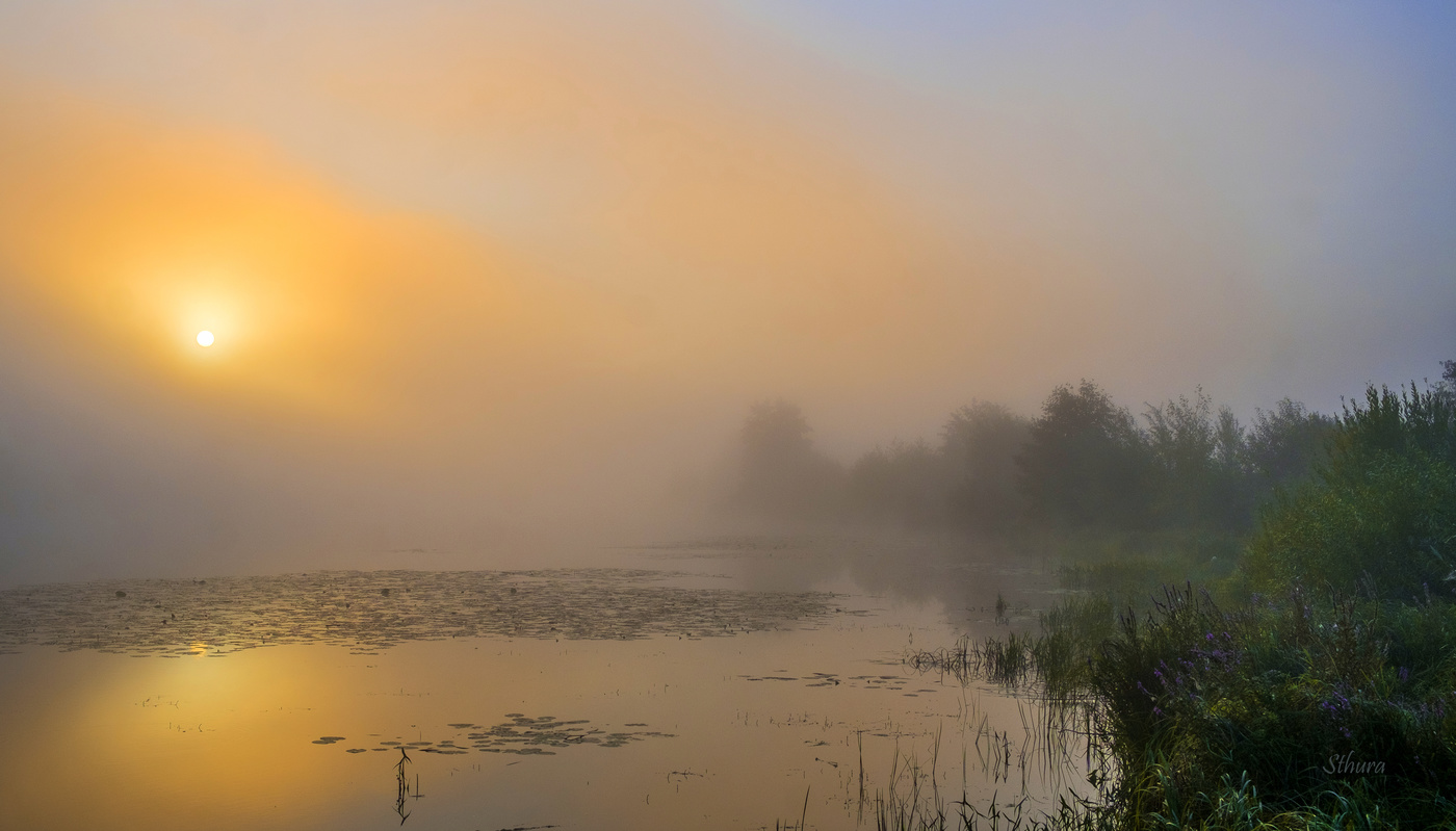 Утро туманное.