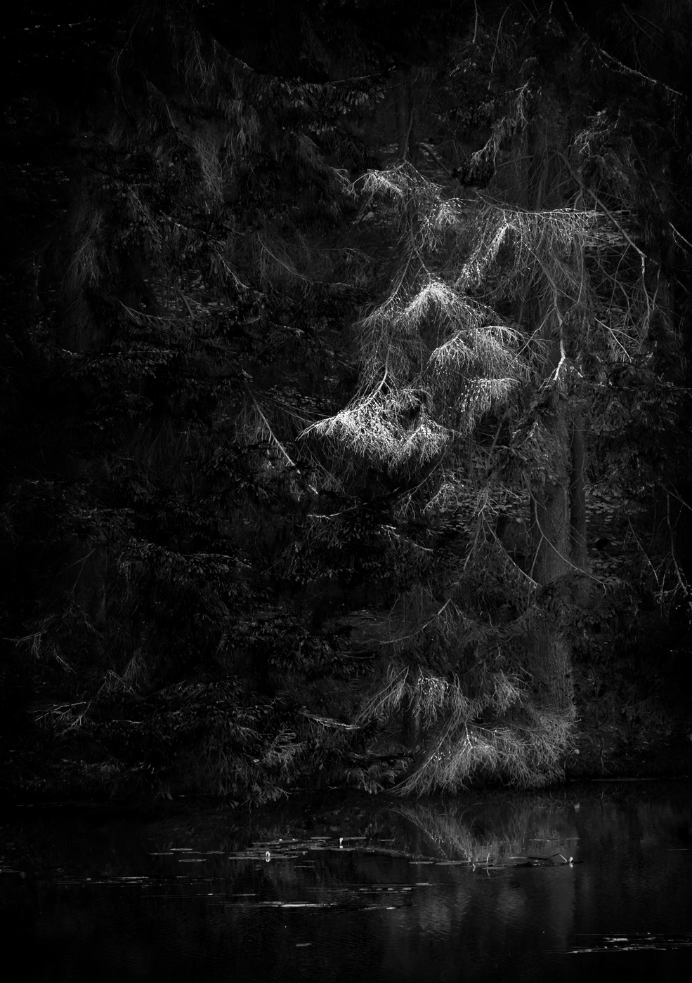 Серебро царя Берендея.