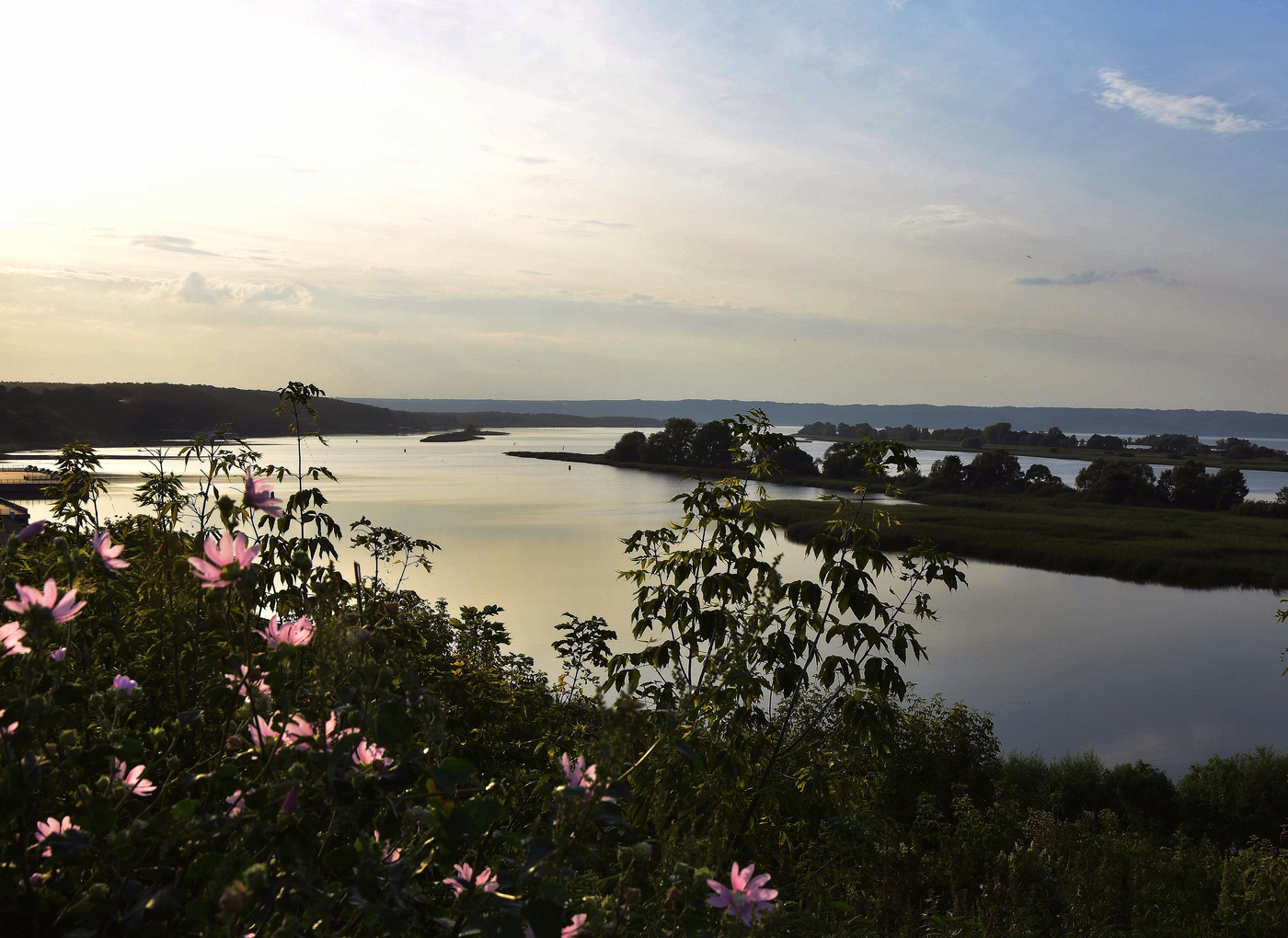 Любимица народная