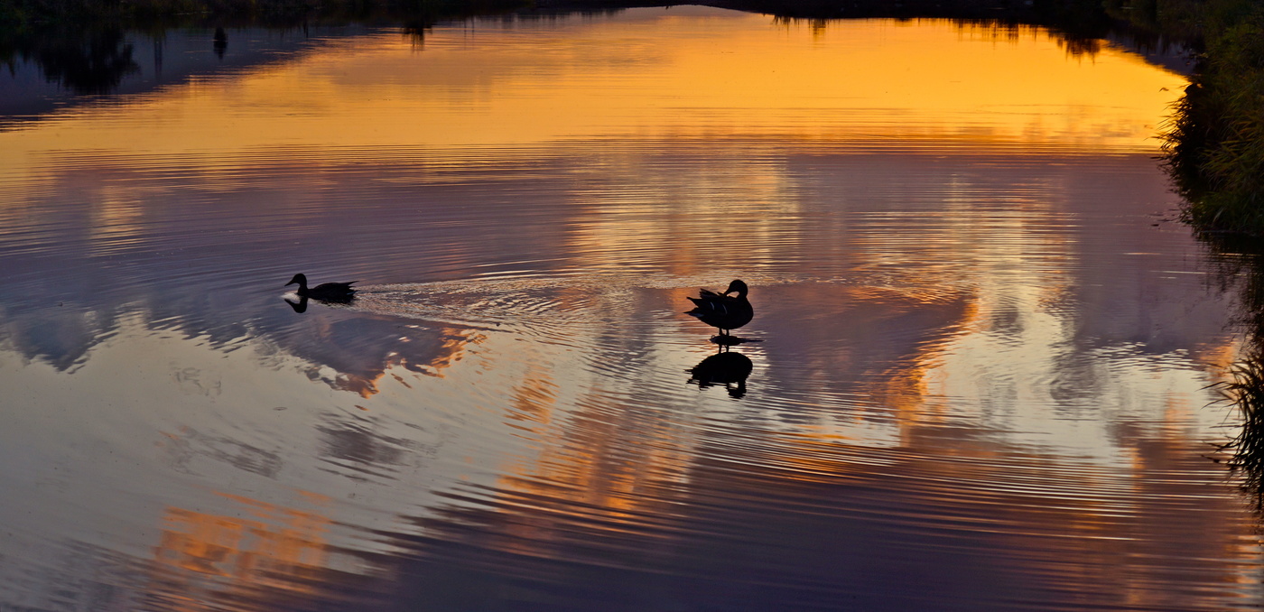 Отражённое небо...