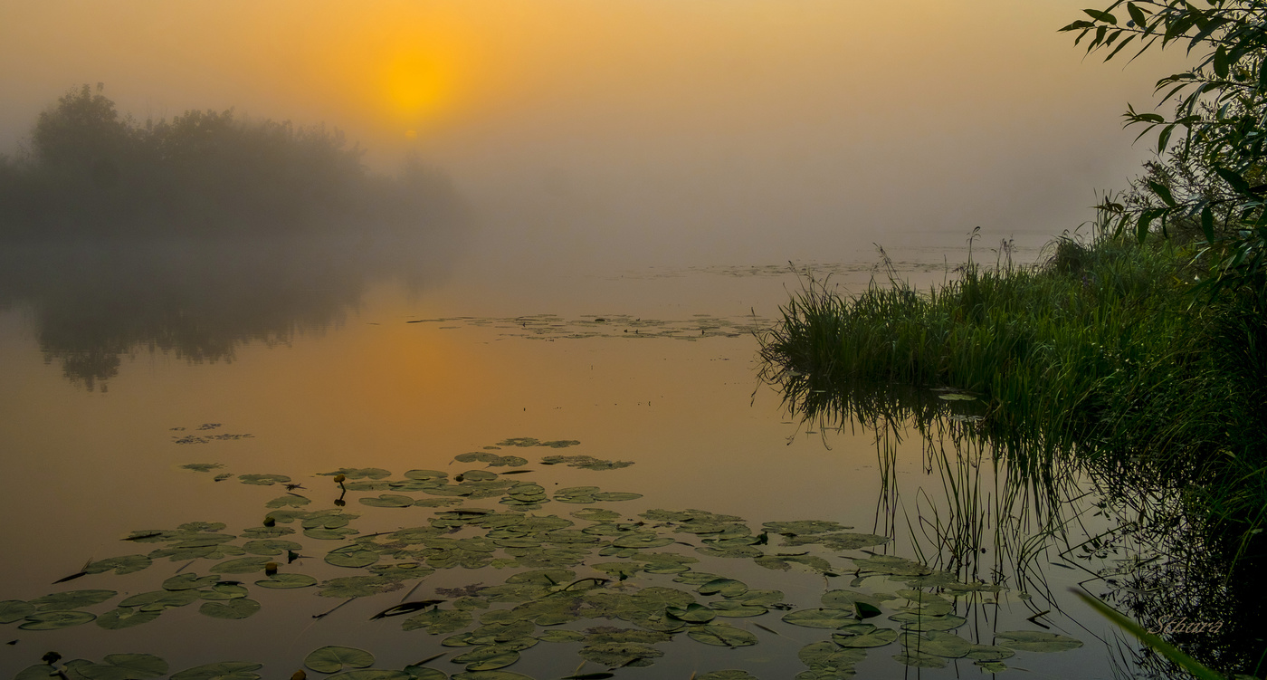 Скоро осень.