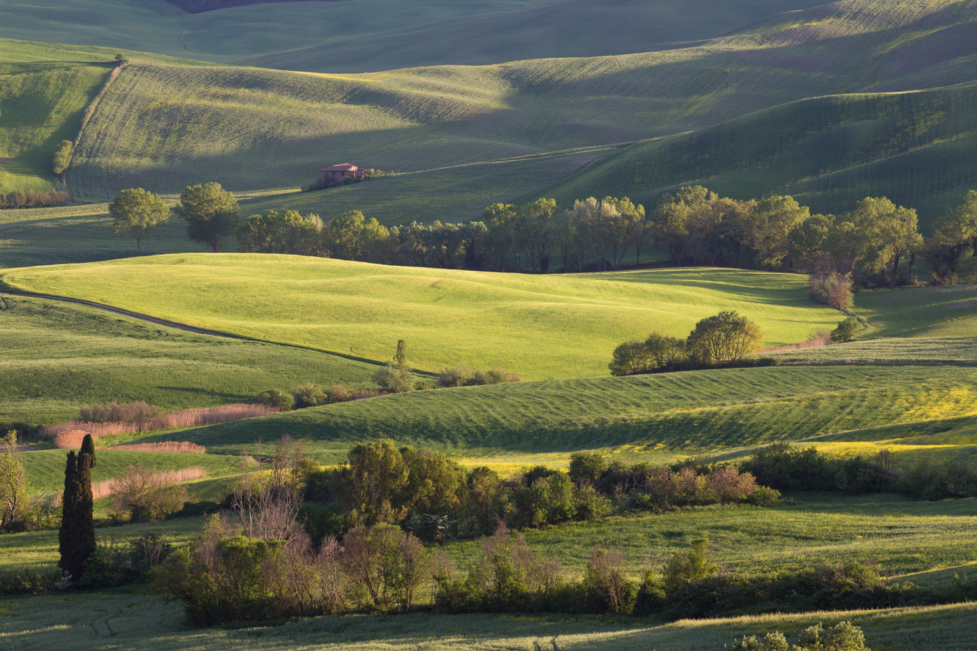 Затерянный в холмах